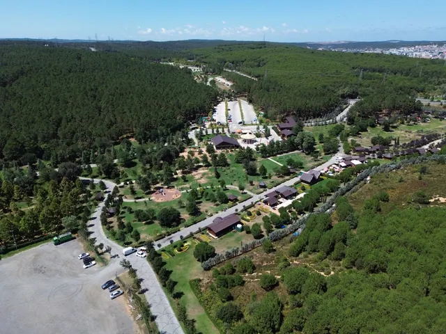 Yerleşim ve ağaçlık çevrenin drone ile genel görünümü