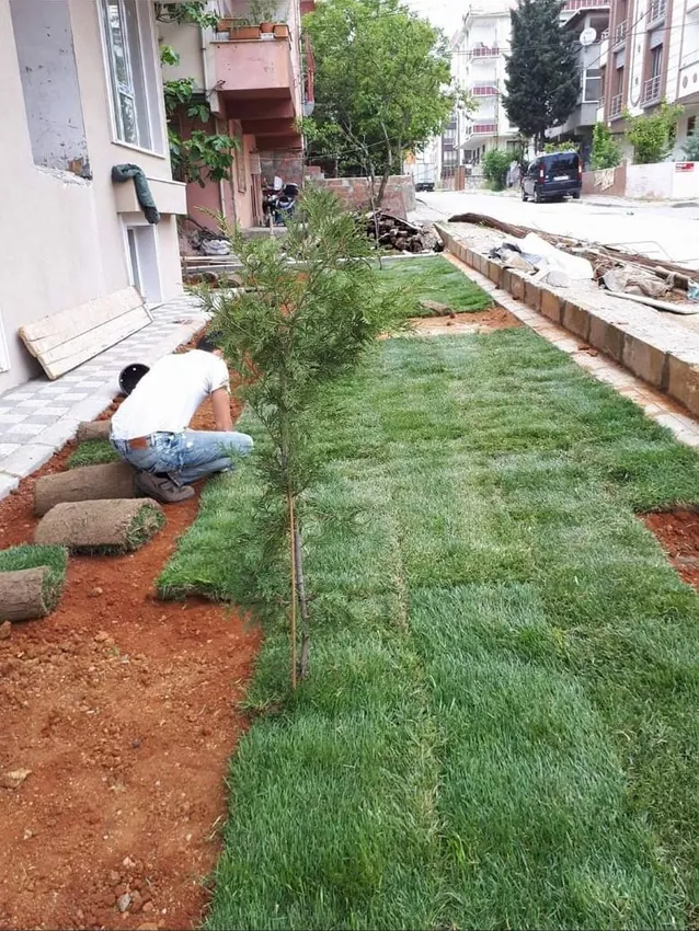Bahçe şeridinde rulo çim serimi